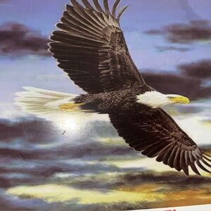 Homebound‎ Bald Eagle Plush Raschel Blanket 40X68